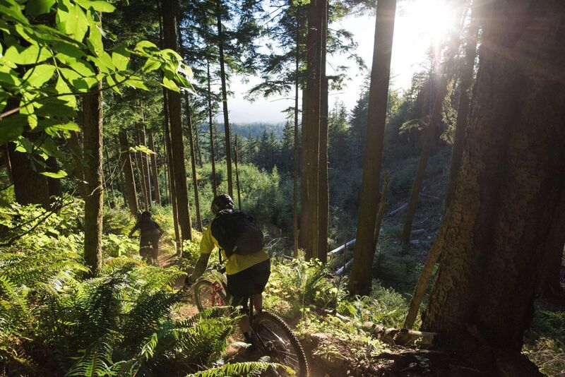 person mountain biking