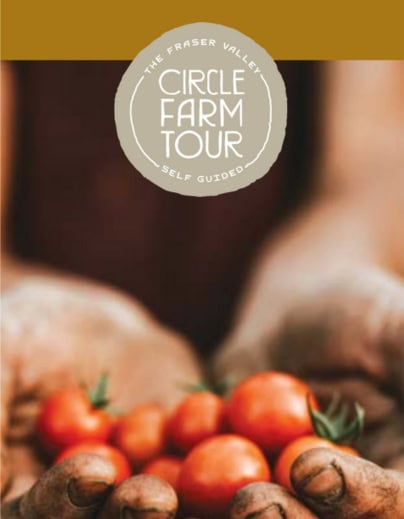 hands holding tomatoes