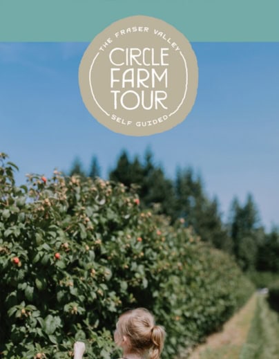 a girl picking berries