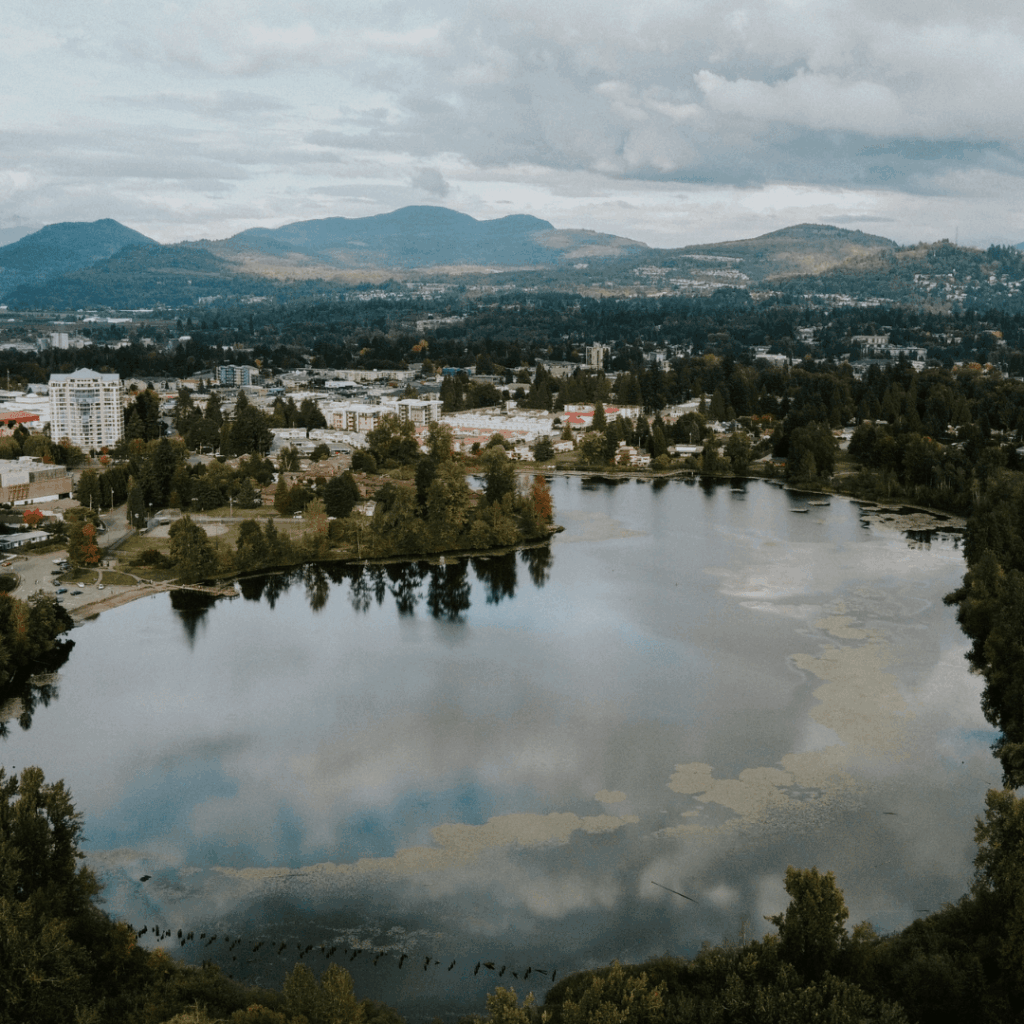 aerial view of a lake