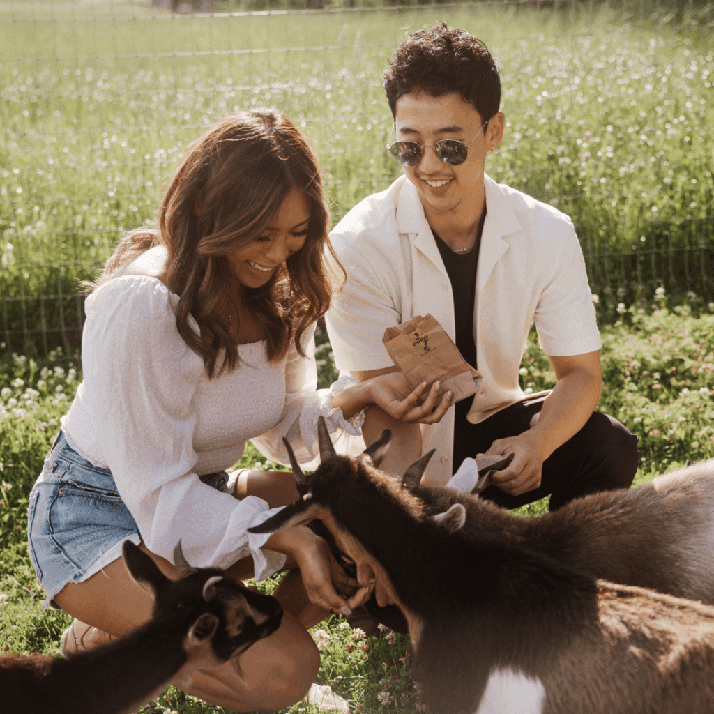 a couple pets goats