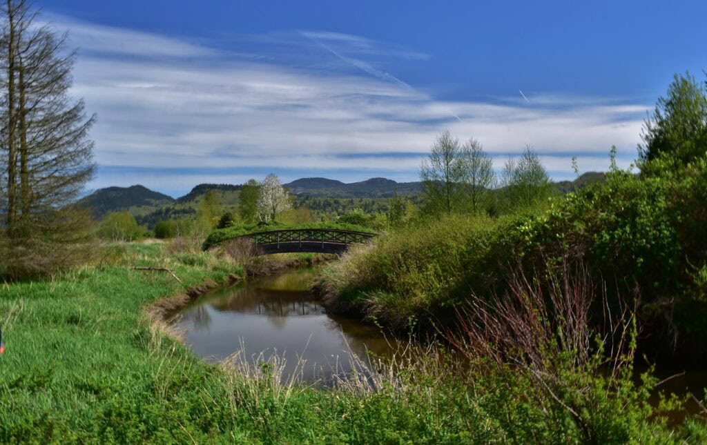 waterway in a park