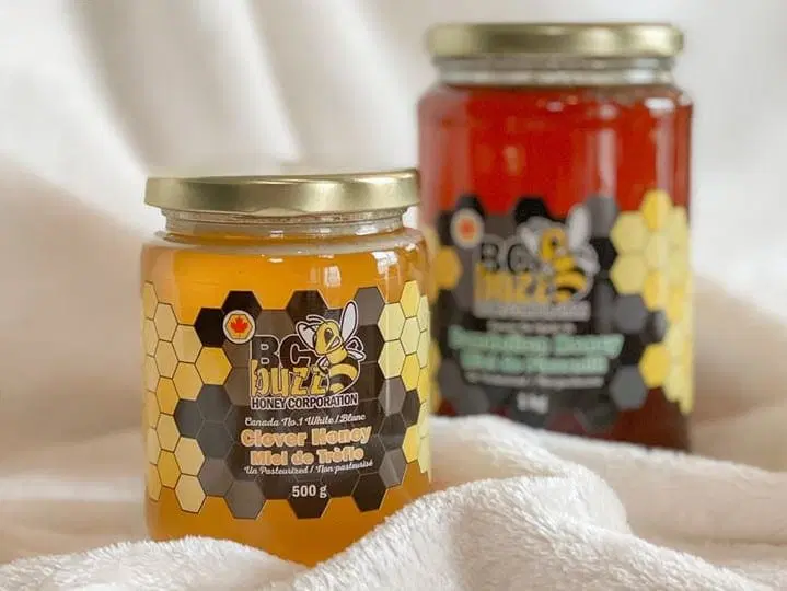 BC Buzz Honey 4