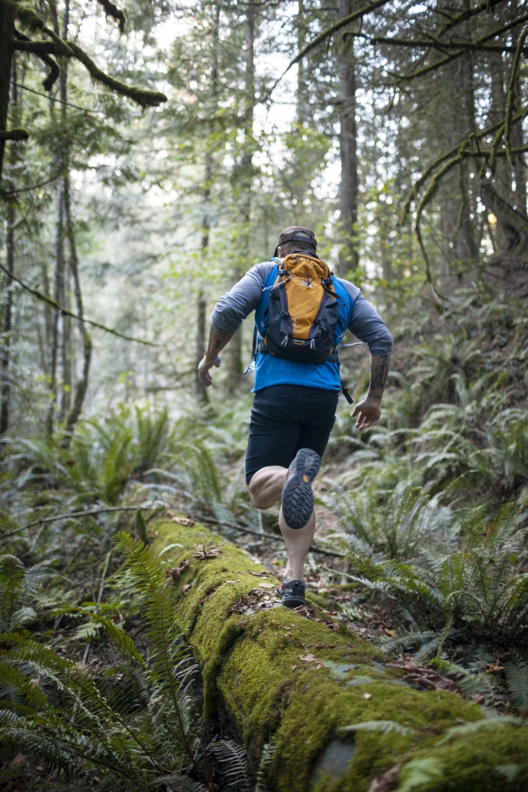 Trail Running Near Elbow Lake In The Fraser Valley, British Columbia, Canada