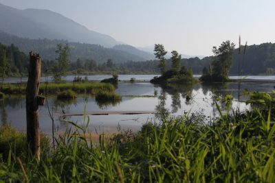 Cheam Lake Wetlands