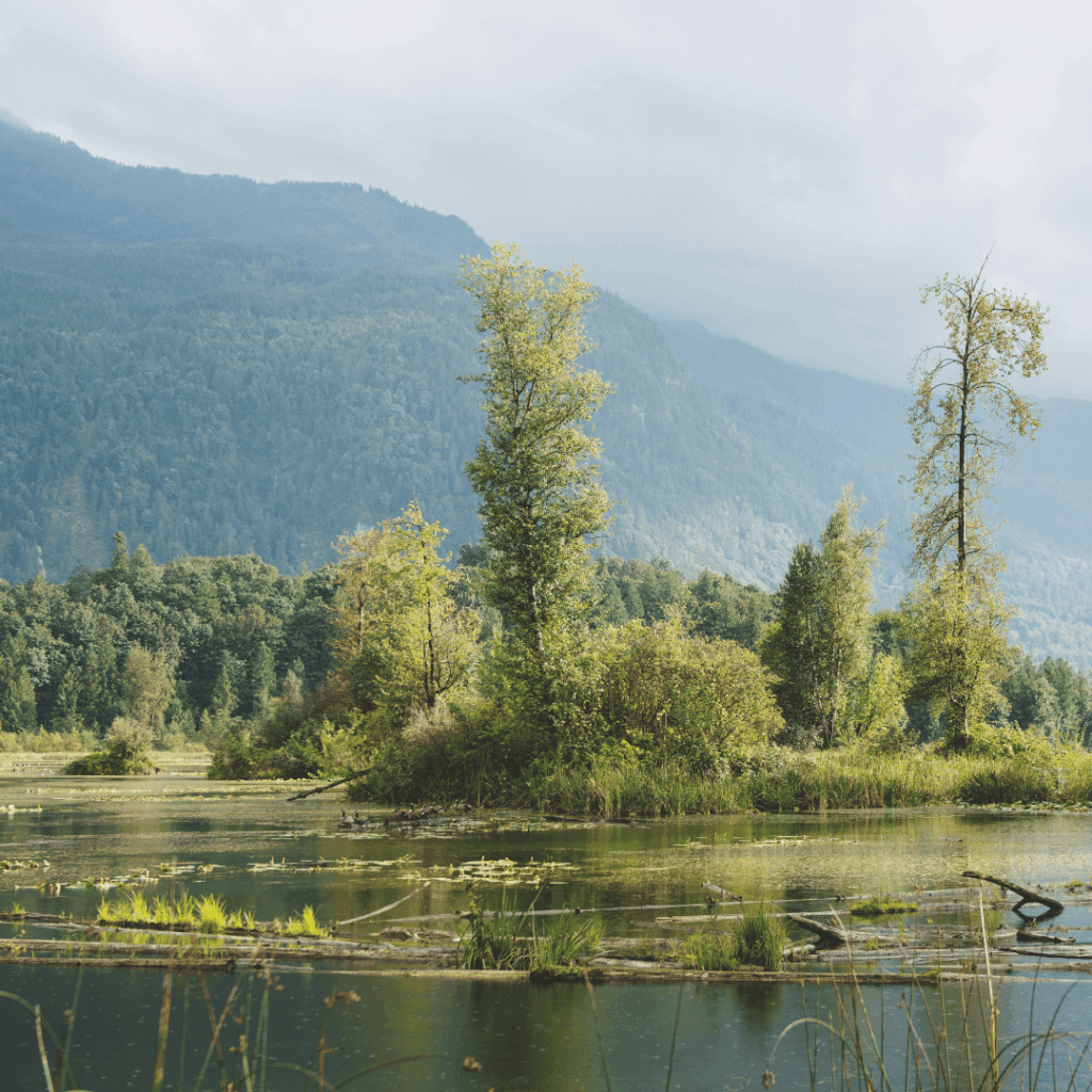 view of a lake and mountain