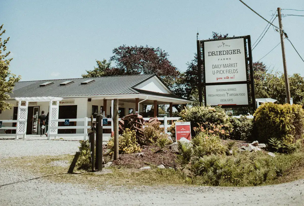 Driediger Farms Banner 1 1