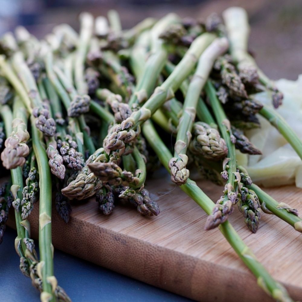 Foraging With You