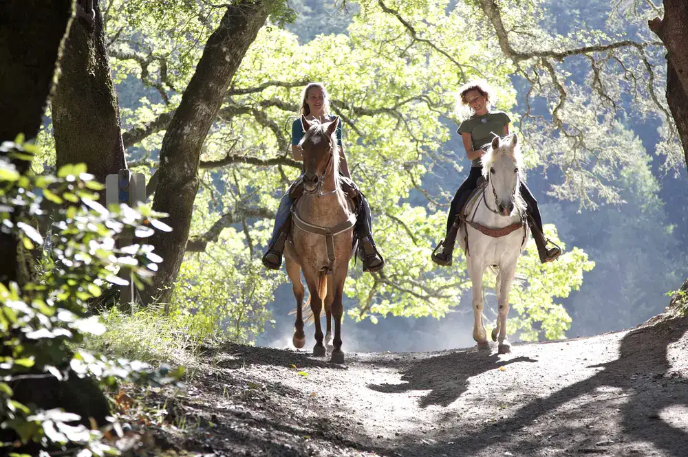 Glen Valley Stables 1