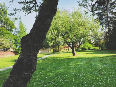 Gwynne Vaughan Park
