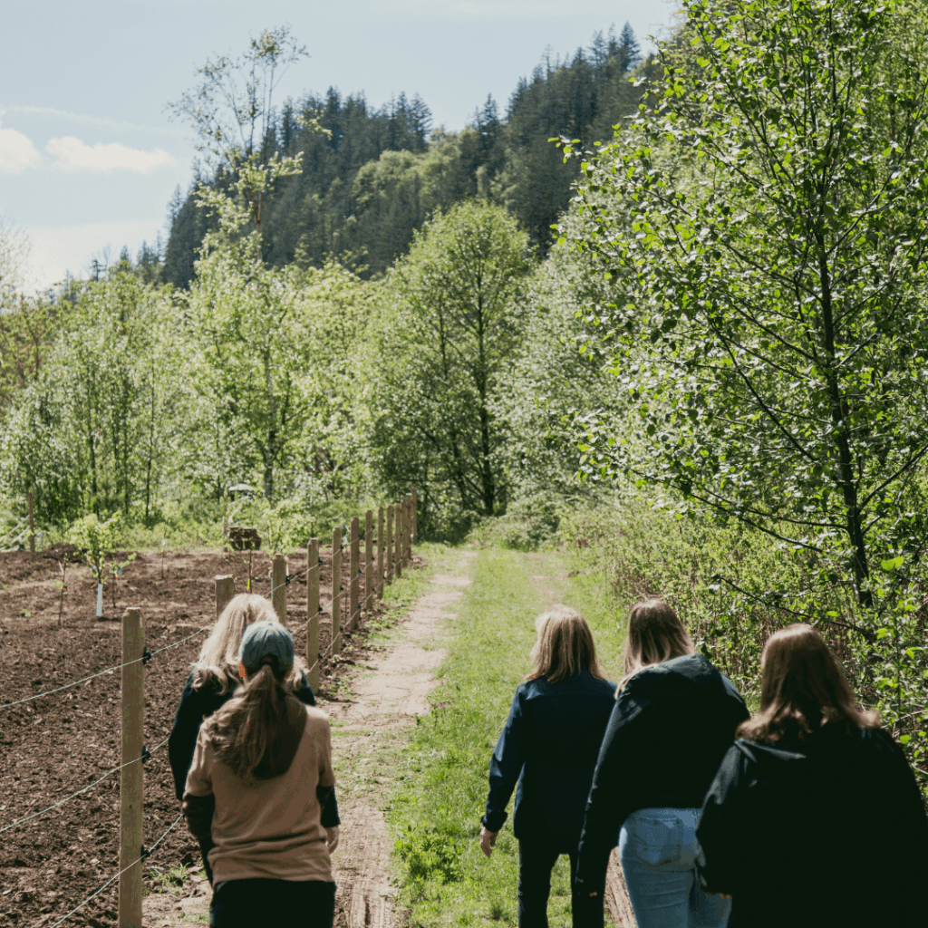 people walking on a farm path