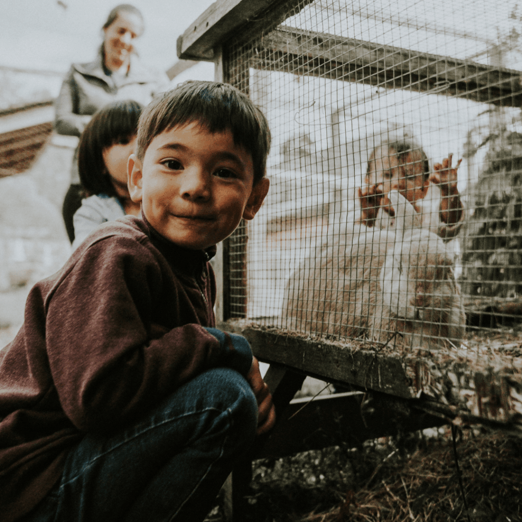 a boy and a rabbit