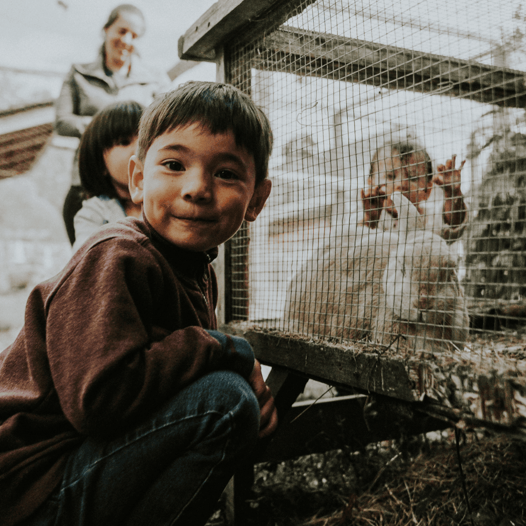 a boy and a rabbit