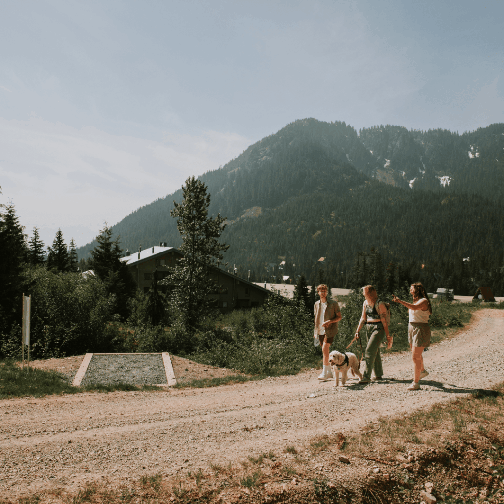 3 people and a dog walk on a mountain path