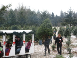 Heritage Tree Farm