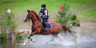 Island 22 Horse Park