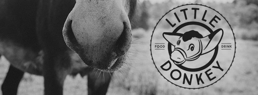 Little Donkey 1