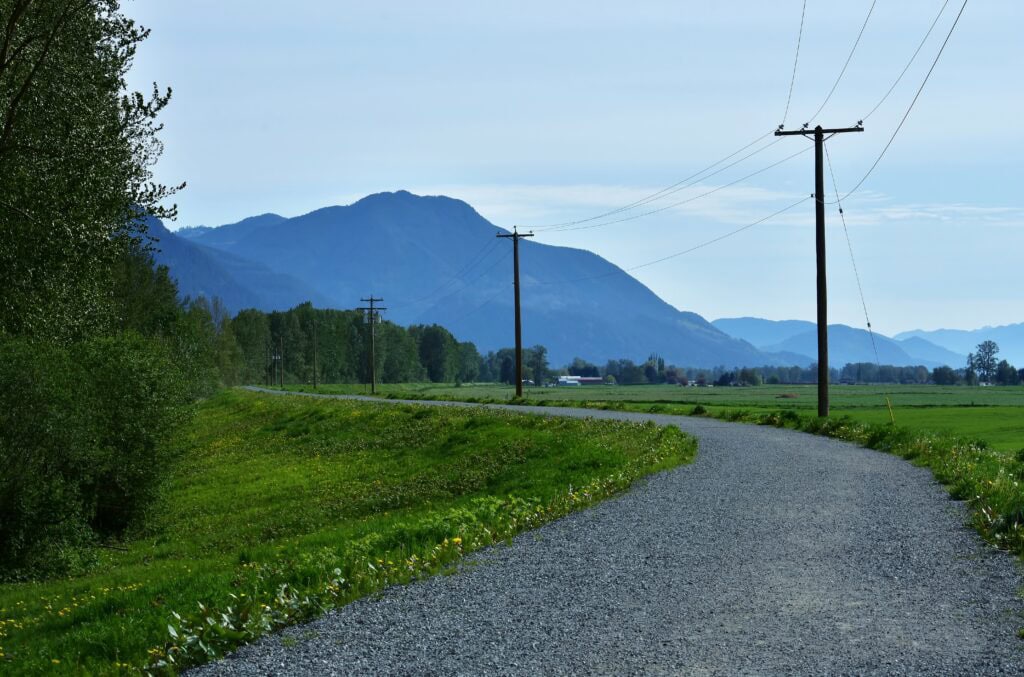 a trail with a mountain in the background