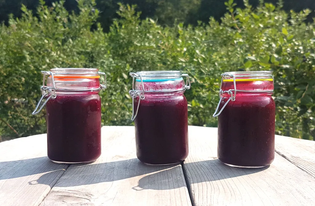 RussLynn Blueberries