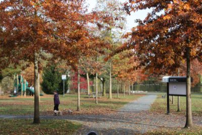 Sardis Park