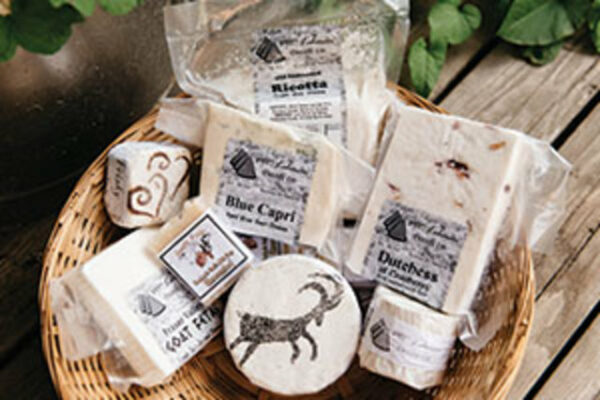 Mt Lehman Cheese