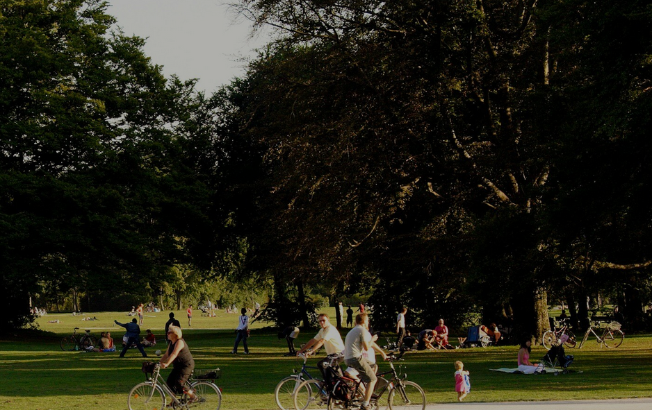 Party At The Park