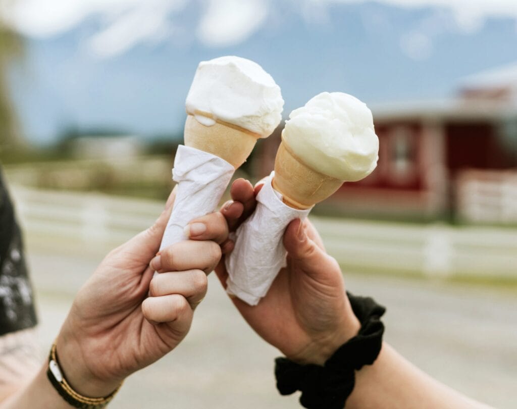 Kids on the Farm at Farm House Natural Cheeses