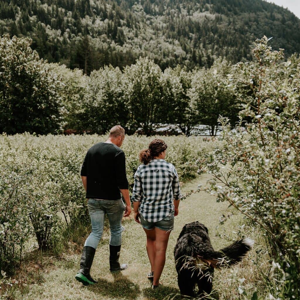 Two people with a dog walking through a blueberry field