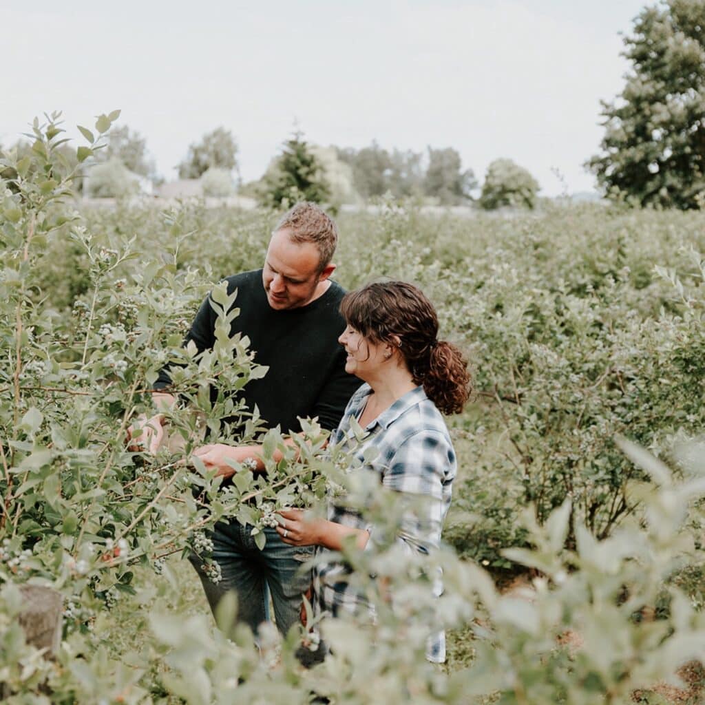 Two people looking at a blueberry bush