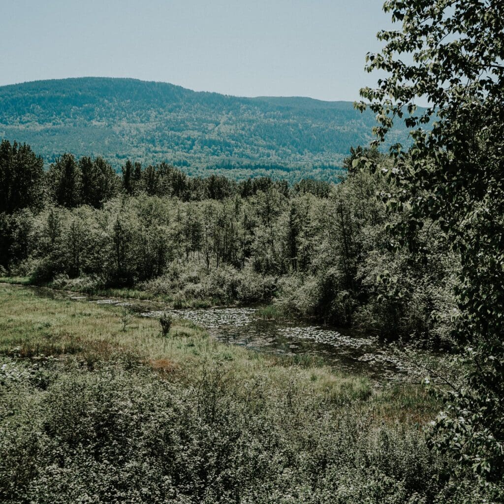 A lovely green nature area with a body of water in the middle