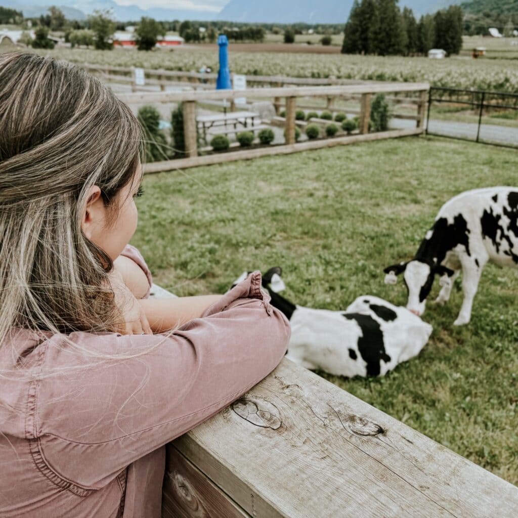 a woman looks on at a baby cow