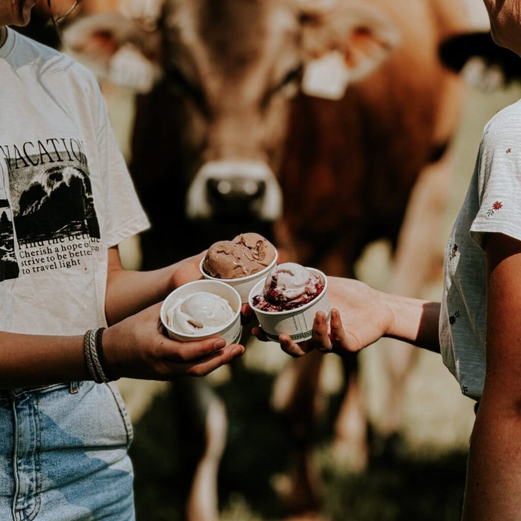 two people holding ice cream in a cup