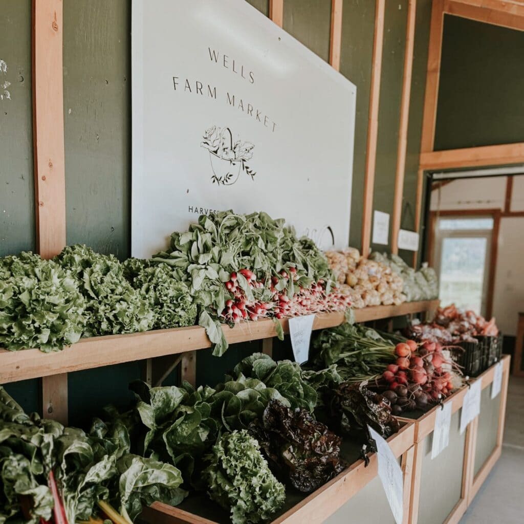 A display of fresh vegetables at a farm stand.