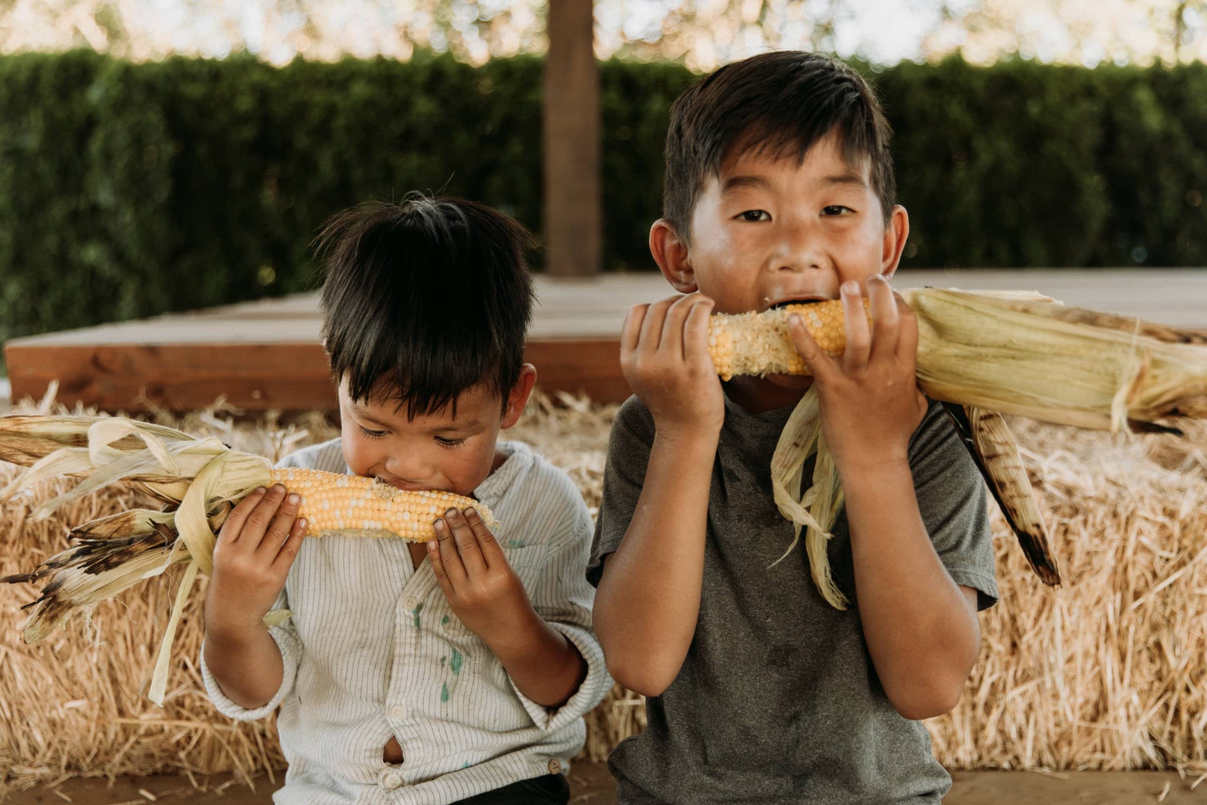 Sweet Corn Festival