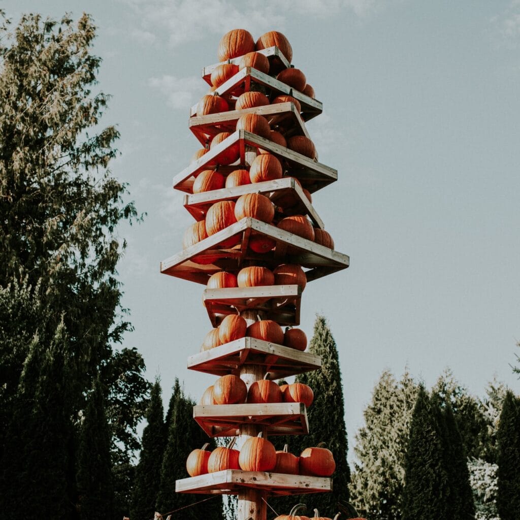 A tower of pumpkins