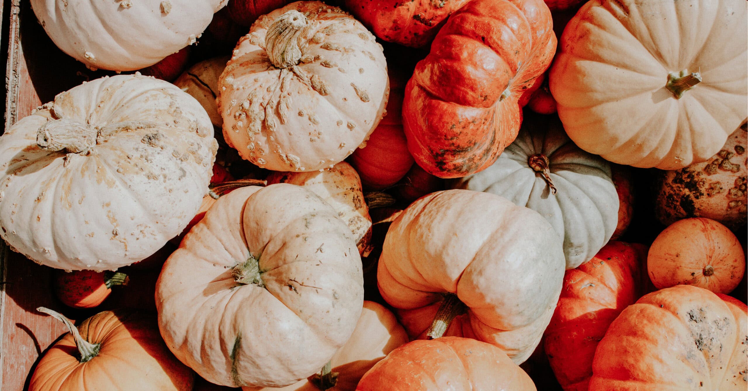 A pile of small gourds
