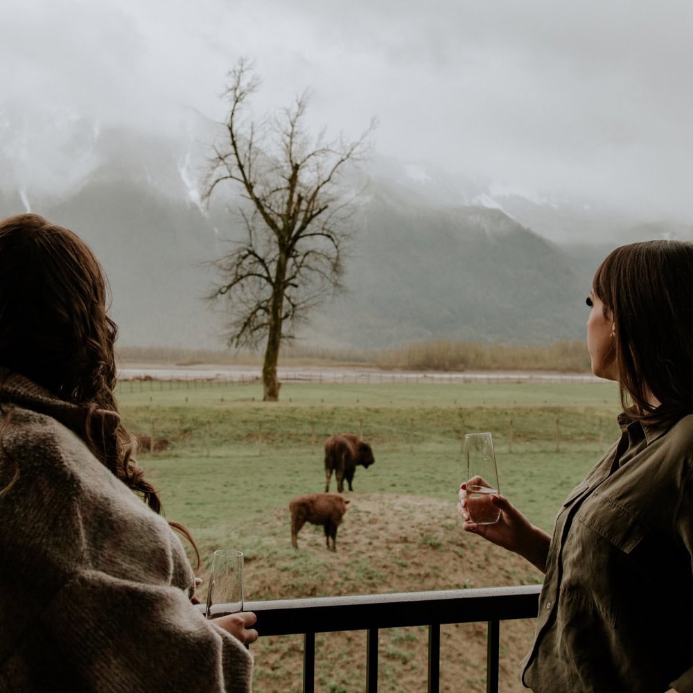 Two people up on a balcony, looking at wildlife below