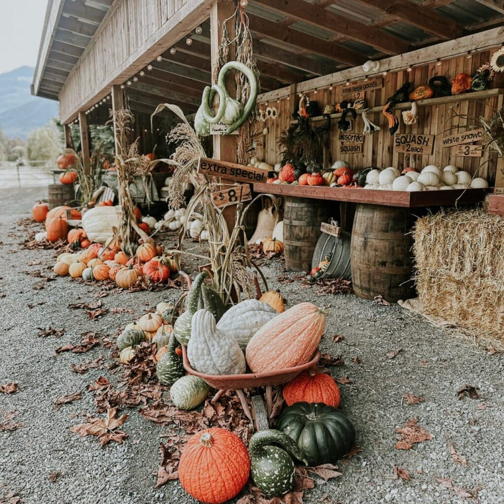 A fall display full of pumpkins, hay, and gourds