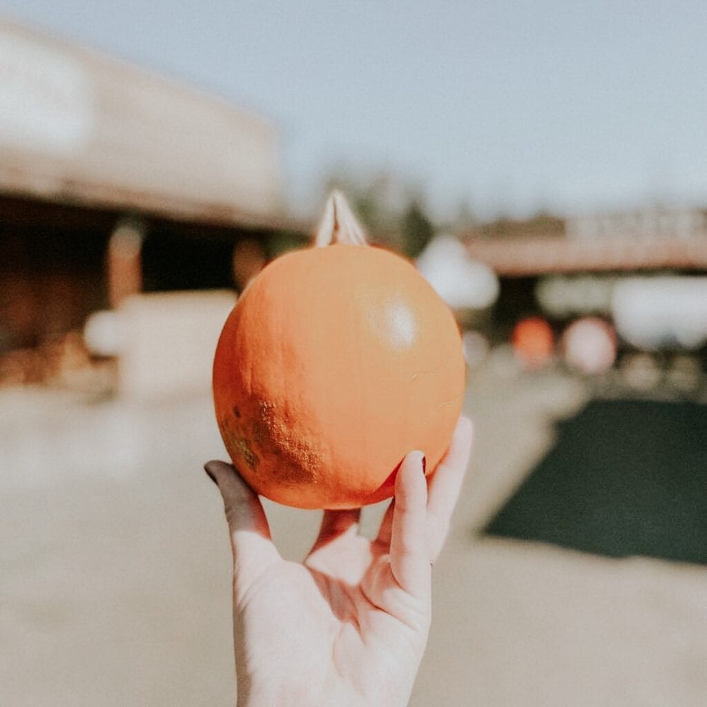 A hand holding a pumpkin