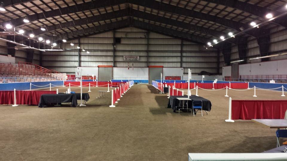 Lower Mainland Dog Show