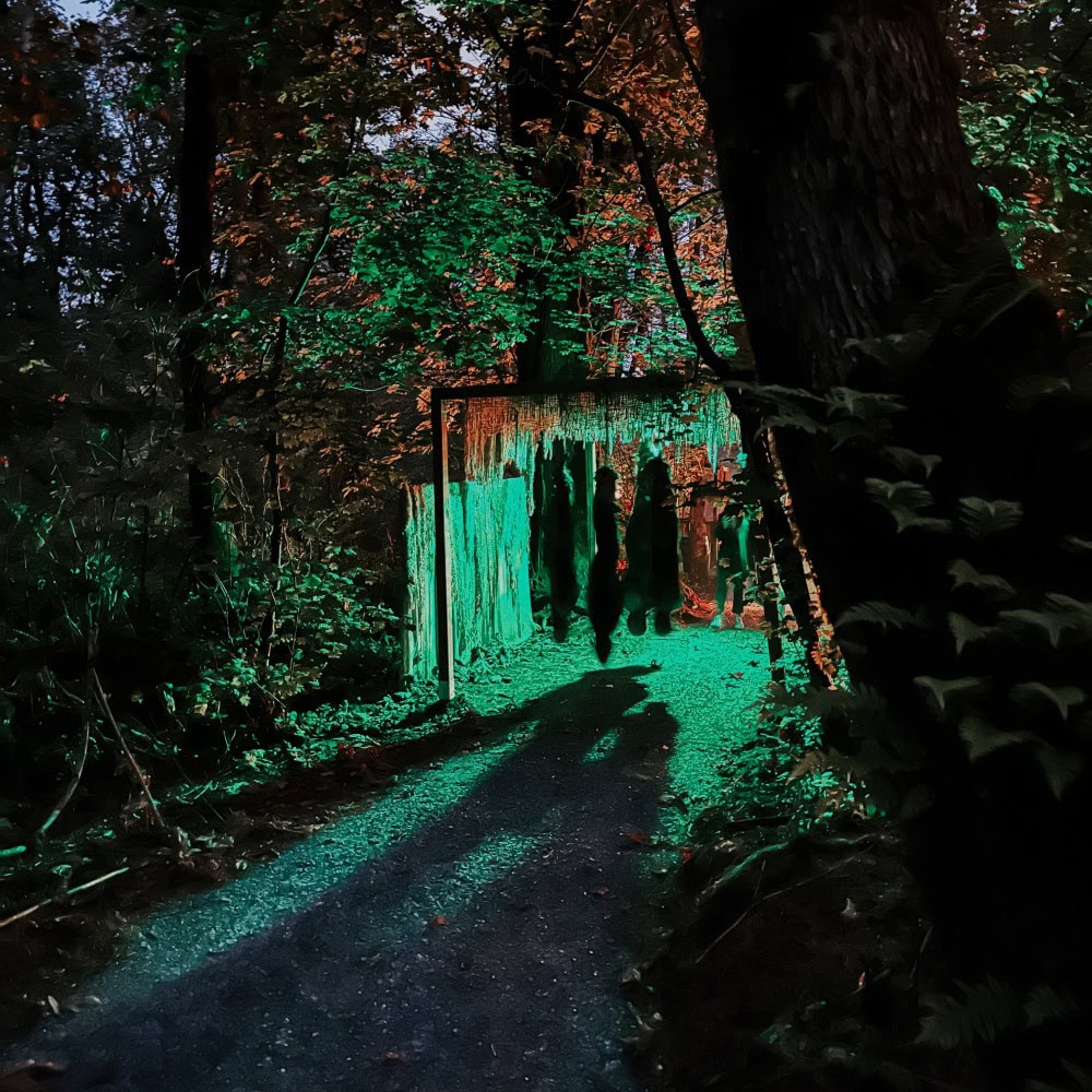 Neon green glow in the woods