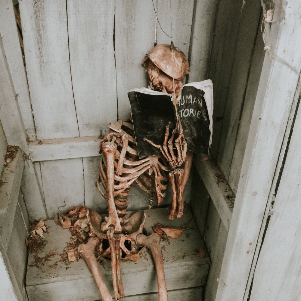 Decorative skeleton reading a book