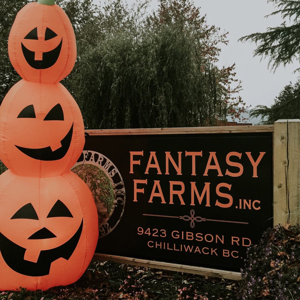 3 blowup pumpkins next to the Fantasy Farms sign