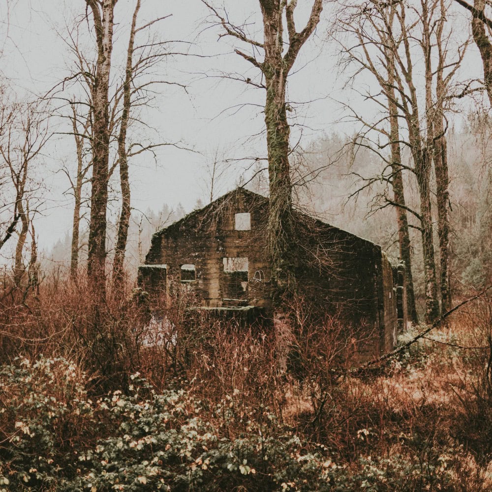 Abandoned house in the woods