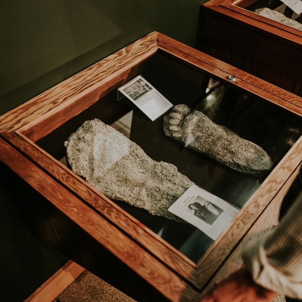Fossil of Foot prints in a museum display