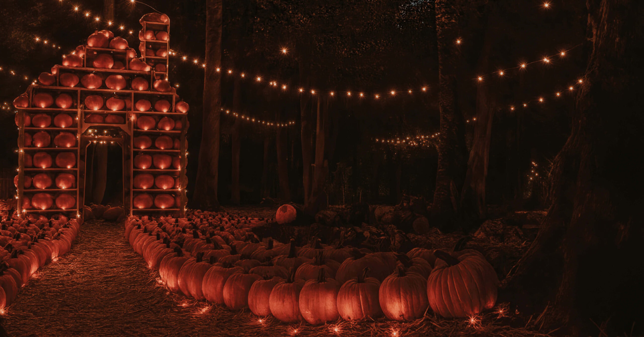 V2Oct Halloween Feature Image Maan Farms2 Photo Fixed Standard V3