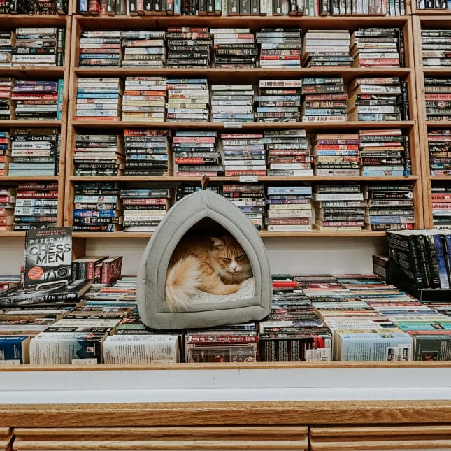 Chilliwack The Bookman