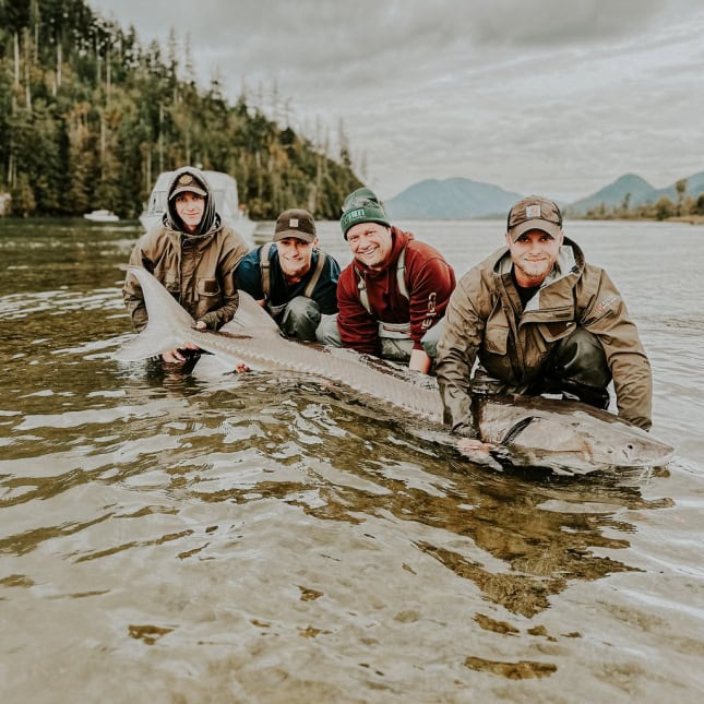 Four men holding sturgeon