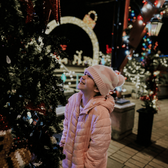 Harrison Lights By The Lake 2024 36