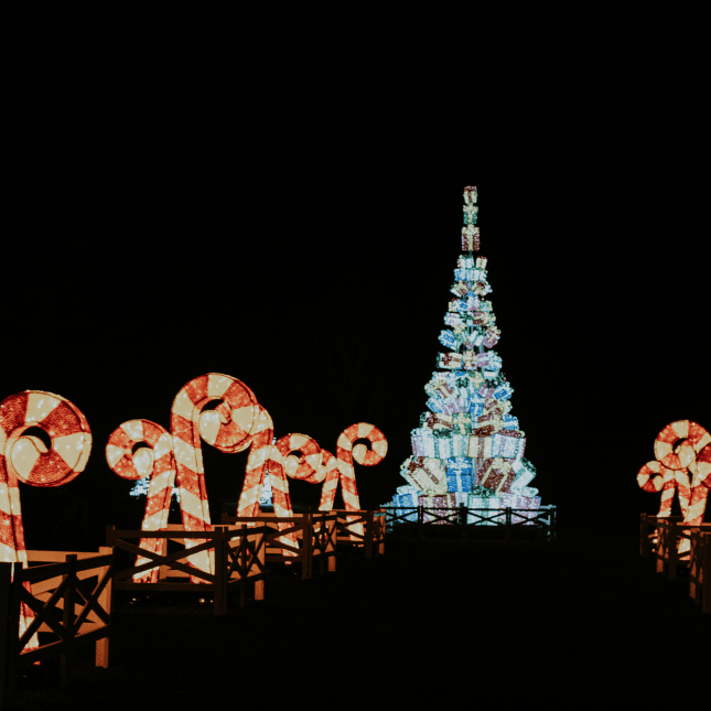 CHristmas tree lights